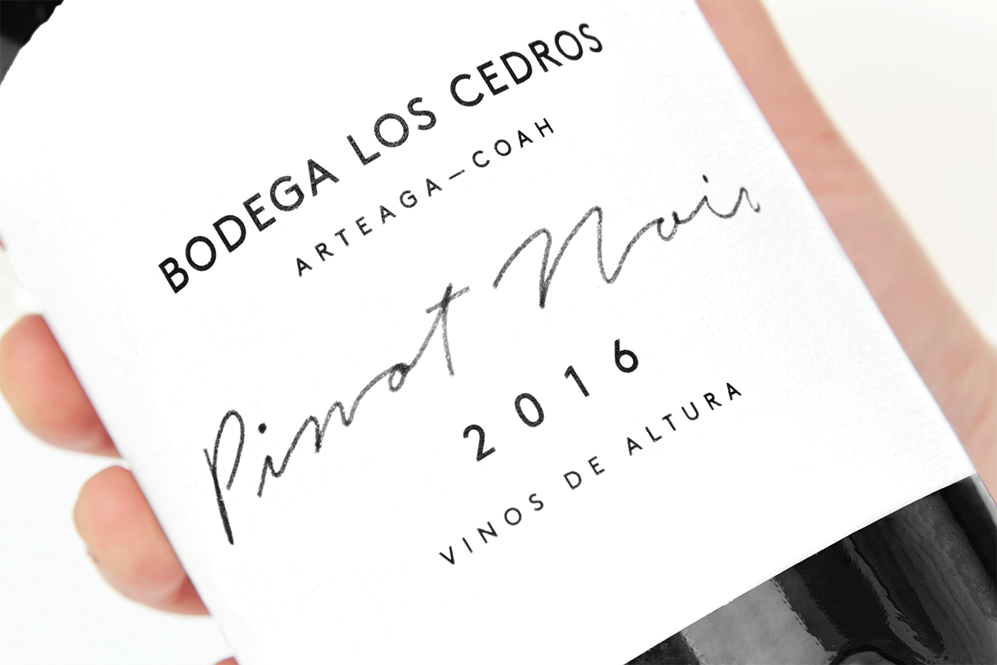 墨西哥葡萄酒包装字体